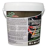 GartenteichDirekt