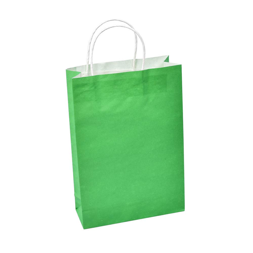 Sapco White Kraft Gift Paper Bag Carry Bag Pack of 10 (9x13x3.5-Inch) (Green) (B08JYKC2C4) Amazon Price History, Amazon Price Tracker
