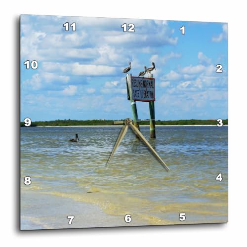 3dRose dpp_33176_3 Pelicans on Sign-Wall Clock, 15 by 15-Inch