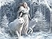 Toy Partner- Winter Guardians-500 pcs, Multicolor (10141)