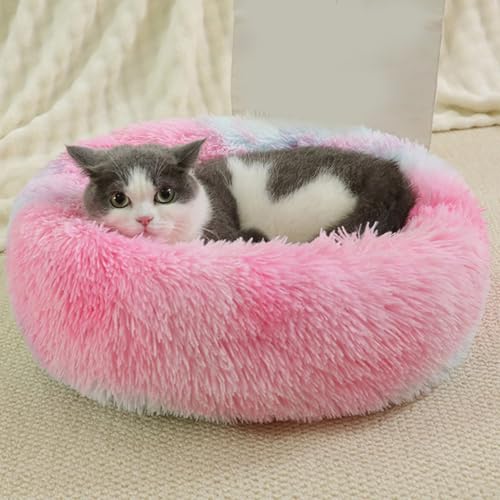 [ADSNS] ybg xbh 􂦂 ӂӂ  ӂ \t@ 킢  L ׃bh  xbh ~ ی^ 40cm ybgxbh ʔN LObY ObY ~Ή ۉh ΍ ӂӂ   L NbV J[