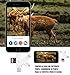 immagine 6ARZOPA Lettore di Schede di Memoria, Multifunzionale 4 in 1 Lettore di Scheda Esterno TF/SD, Adattatore con Connettore Standard per PC e Notebook Smartphone