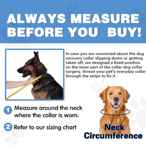 Image of Large Dog Donut Collar - Inflatable Cone Alternative for After Surgery Recovery (Blue, Large)