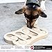 SPOT Ethical Pet Interactive Seek-A-Treat Shuffle Bone Toy Puzzle That Will Improve Your Dog's IQ, Specially Designed for Training Treats