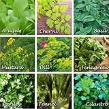 Flowering Herbs Mix 4 Gram Seeds - 9 Edible Annual Herbs—Non-GMO, Open-Pollinated—Arugula, Basil, Dill, Cilantro, Fennel, Parsley, Chervil, Fenugreek, Mustard