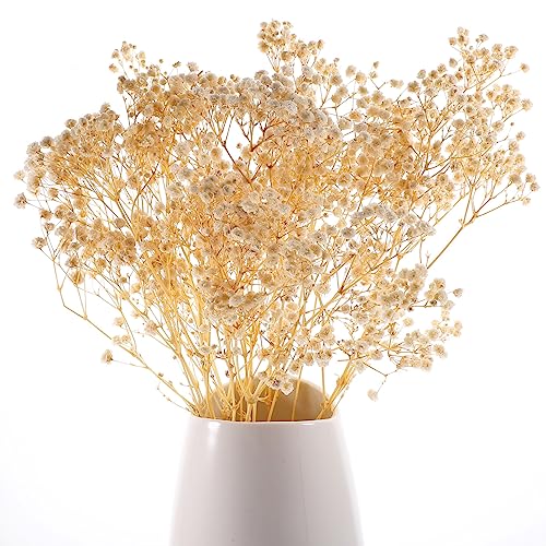 Ramo de flores secas Babysbreath decorativas blancas miniatura 7