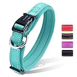 【Collar para Mascotas con Correa Reflectante Fuerte】- Material reflectante luminoso para una buena visibilidad por la noche / en la oscuridad. Siempre que haya reflejo de luz, no hay necesidad de preocuparse por la seguridad de su perro.