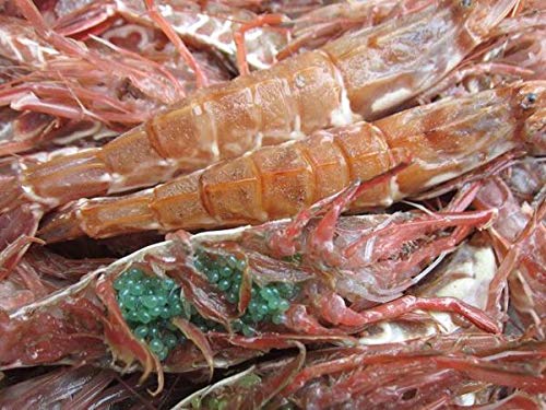 Nxۏ؁uKCV 6kgʁvhgp/DⓀ/RA`Y