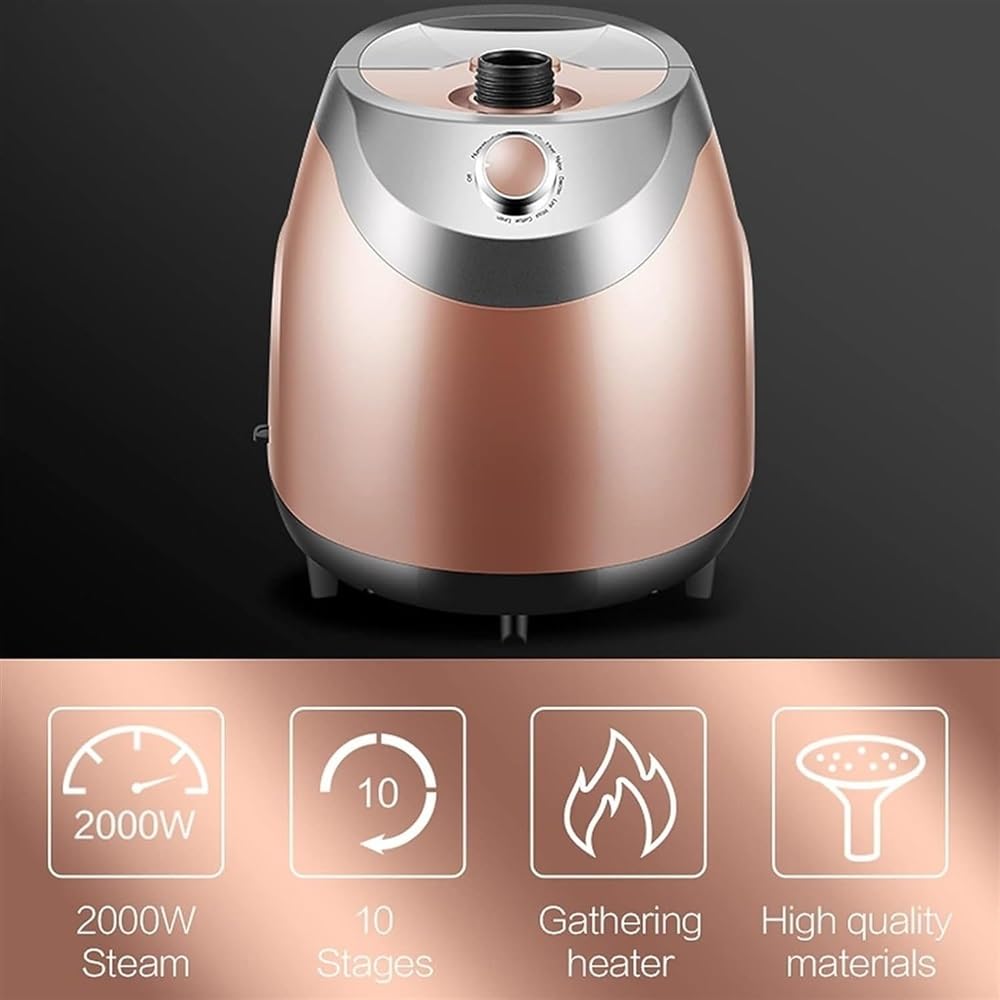 Piroscafo for Abiti Professionale Verticale 2100W Piroscafo for Abiti Pesanti, Ferro da Stiro a Vapore Ferro da Stiro a Vapore Portatile con Serbatoio dell'Acqua da 2,5 Litri Rimozione Rapida delle Ru