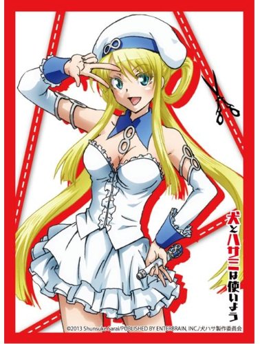 Manches Bushiroad HG anti-reflet pochette protectrice Akizuki Maxi Vol.591