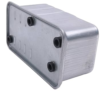 Amazon.com: LSSOCH Fuel Filter Element AM101004 Compatible