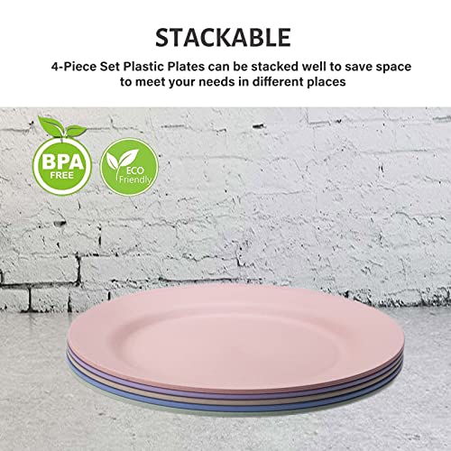 Orrdiffi 10 '' dinerborden set van 5 herbruikbare plastic borden vaatwasser en magnetronbestendig, lichtgewicht en onbreekbaar campingbord, saladeborden, dessertborden BPA vrij en gezond voor volwassen kinderen (25 cm)