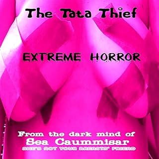 The Tata Thief Audiolibro Por Sea Caummisar arte de portada