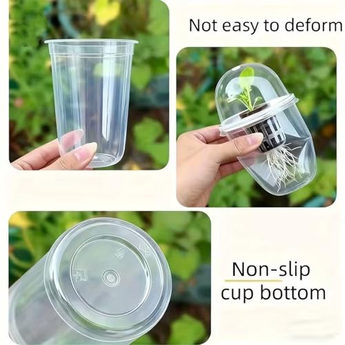 Recipientes de cultivo transparentes con drenaje para raíz 6
