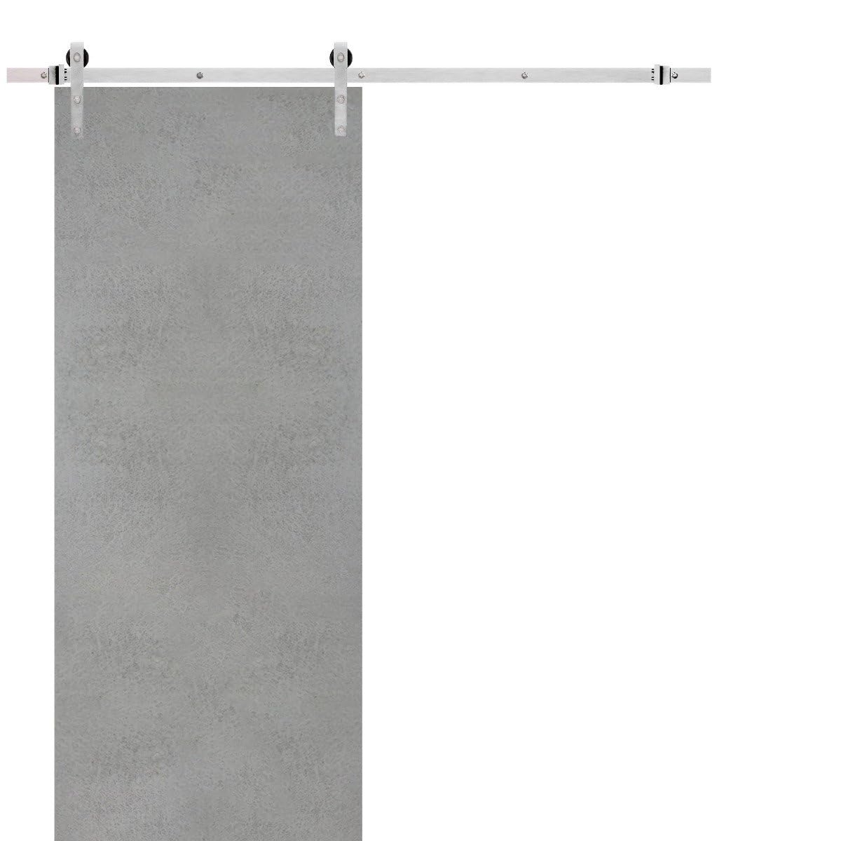 Sturdy Barn Door | Planum 0010 Concrete | Top Mount 6.6FT Rail Hangers Heavy Hardware Set | Solid Panel Interior Doors-30