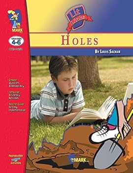 Paperback Holes Book