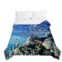 Trapuntino Copriletto Goffrato Matrimoniale Singolo, Chickw11 3D Mondo dell'Oceano Coperta Estivo Trapunta Autunnale Trapuntato Coperta Letto Leggera per Camera da Letto (Pittura,230x280cm