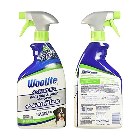 Woolite advanced pet stain and odor remover Clearance