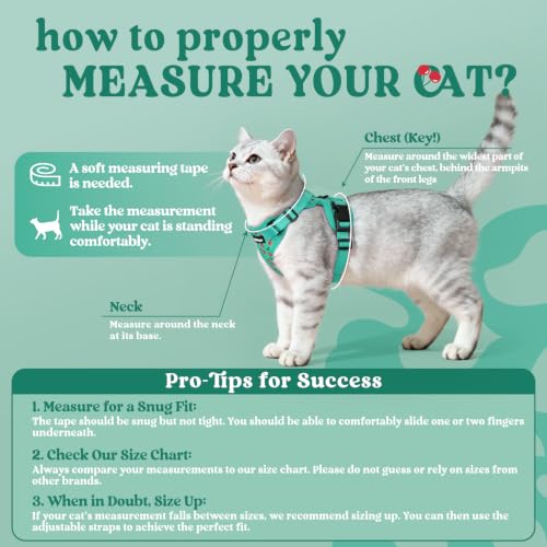 Image of rabbitgoo Cat Harness and Leash Set, Escape Proof Vest, Cherry Grove | Soft Breathable Mesh, Easy Adjustable Fit, Snap Buckles, Sturdy Clip, Reflective Strips, for Kittens & Small Cats Walks, Xxs