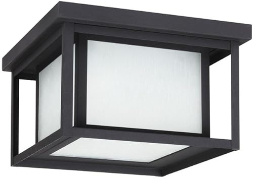 Sea Gull Lighting 79039EN3-12 Hunnington - Lámpara moderna colgante de techo para exteriores, con dos luces, acabado negro