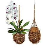 PANWA Handmade 100% Thai Bamboo Super Sanctuary Hanging Orchid Basket - 6 Inch Set of 2