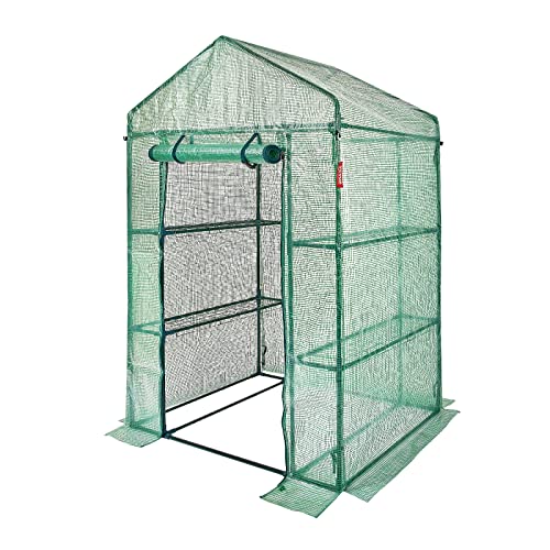 VEVOR Walk-in Green House, 55.5 x 29.3 x 80.7 inch, Portable Greenhouse with Shelves, High Strength PE Cover with Roll-up Zipper Door and Steel Frame, Set Up in Minutes, for Planting and Storage - Image 10