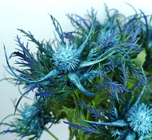 Miniatura 5 de 6 tallos largos de cardos artificiales Eryngo racimo de flores plantas para centros de mesa de decoración del hogar (azul)