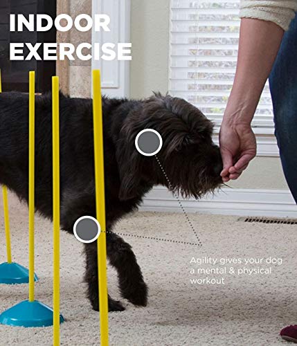 Outward Hound 41003 Zip & Zoom Indoor Dog Agility Training Kit thumb #3