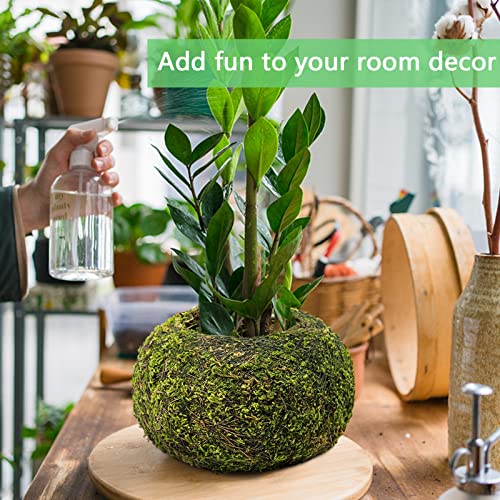 Pouranon Large Home Hanging Dried Moss Ball Planter, 7.1" Dia Plant Hanger For Airplant And Succulent,2 Pack Natural Moss Hanging Ball With Jute Twine Handmade Succulent Wall Holder Home Décor #TOP4