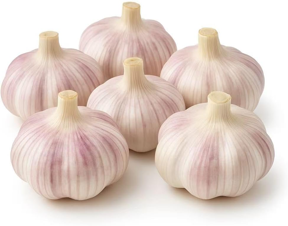 Loseedsoo 6 Pack Hardneck Garlic Bulbs for Planting - Non-GMO Heirloom Seed Garlic, Fresh Cloves for Growing or Cooking
