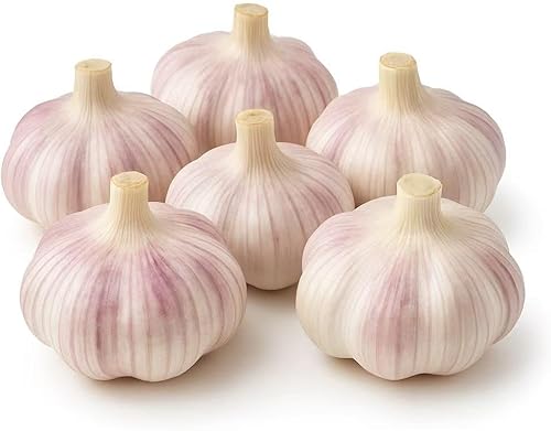 Bulbos de ajo para plantar (paquete de 6) – Semillas de ajo fresco de cuello duro, clavos de reliquia sin OMG para cultivar o cocinar