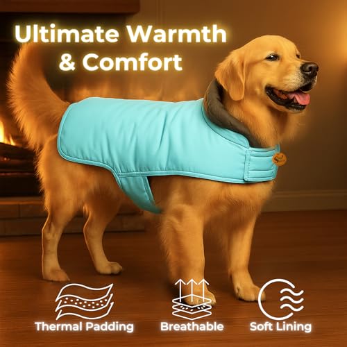 Image of Sage Square Double-Sided Quilted Dog Jacket - Weather-Resistant, Lightweight, Waterproof, Designed for Comfort & Warmth, Adjustable Fit, Perfect for Indoors or Outdoors (Quilt Sky Blue, XL - 20 Inch)
