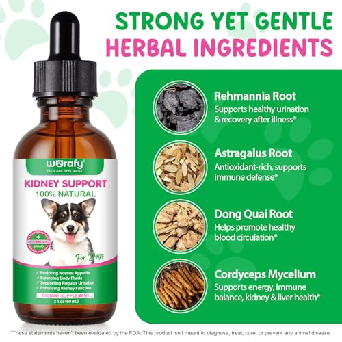 Dog Kidney Support Drops, 100% natürliche Harnwegsbehandlung für Hunde 60ml, unterstützt die Nierenfunktion und HWI Pflege Hund, Stärkung des Immunsystems