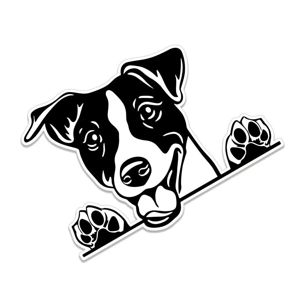 1PC Car Stickers Waterproof Vinyl Decal for Truck Motorcycle SUV Vehicle Decals
