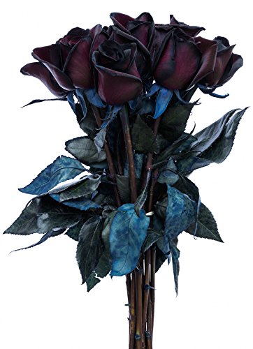 Fresh Black Rose Bouquet by Flower Explosion, Real Tinted Roses – 12 Stems Fresh Black Rose Bouquet by Flower Explosion, Real Tinted Roses – 12 Stems