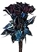12 Stems - Fresh Cut Black Roses from Flower Explosion
