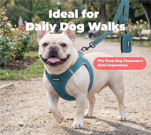 Image of Best Pet Supplies Voyager Reflective Dog Leash or Collar with Neoprene Handle, for Small, Medium, and Large Breed Puppies, Cute and Heavy Duty for Walking, Running and Training - Turquoise (Leash), L