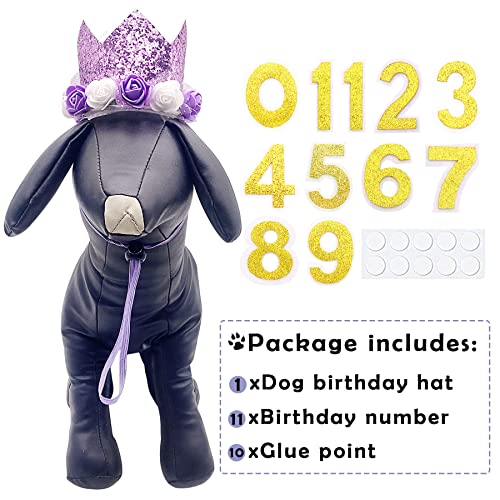 Pet Show Purple Crown Dog Birthday Party Hat For Girls Reusable Party Supplies Cat Kitten Headband With 0-9 Figures Charms Costume Accessories With Glue Dots #TOP4