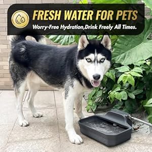   135OZ-Automatic-Water-Dispenser-for-Large-Dogs-Patented-Fit-34in-GHT-Male-Faucet-Outdoor-Animal-Water-Bowl-Include-Water-Valve-5ft-Water-Hose-Copper-Connector-Extra-Large-Drinking-Area