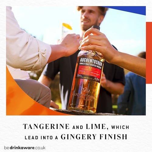 Auchentoshan 12 Years Old | Single Malt Lowland Scotch Whisky | Triple Distilled | Smooth Vanilla, Citrus & Toasted Almonds | Aged in ex Bourbon and Sherry Casks | 40% ABV | 70cl - Image 5