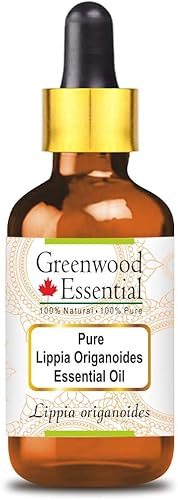 Aceite esencial puro de Lippia Origanoides (Lippia origanoides) con cuentagotas de vidrio destilado al vapor 1.0 fl oz (1.01 oz)