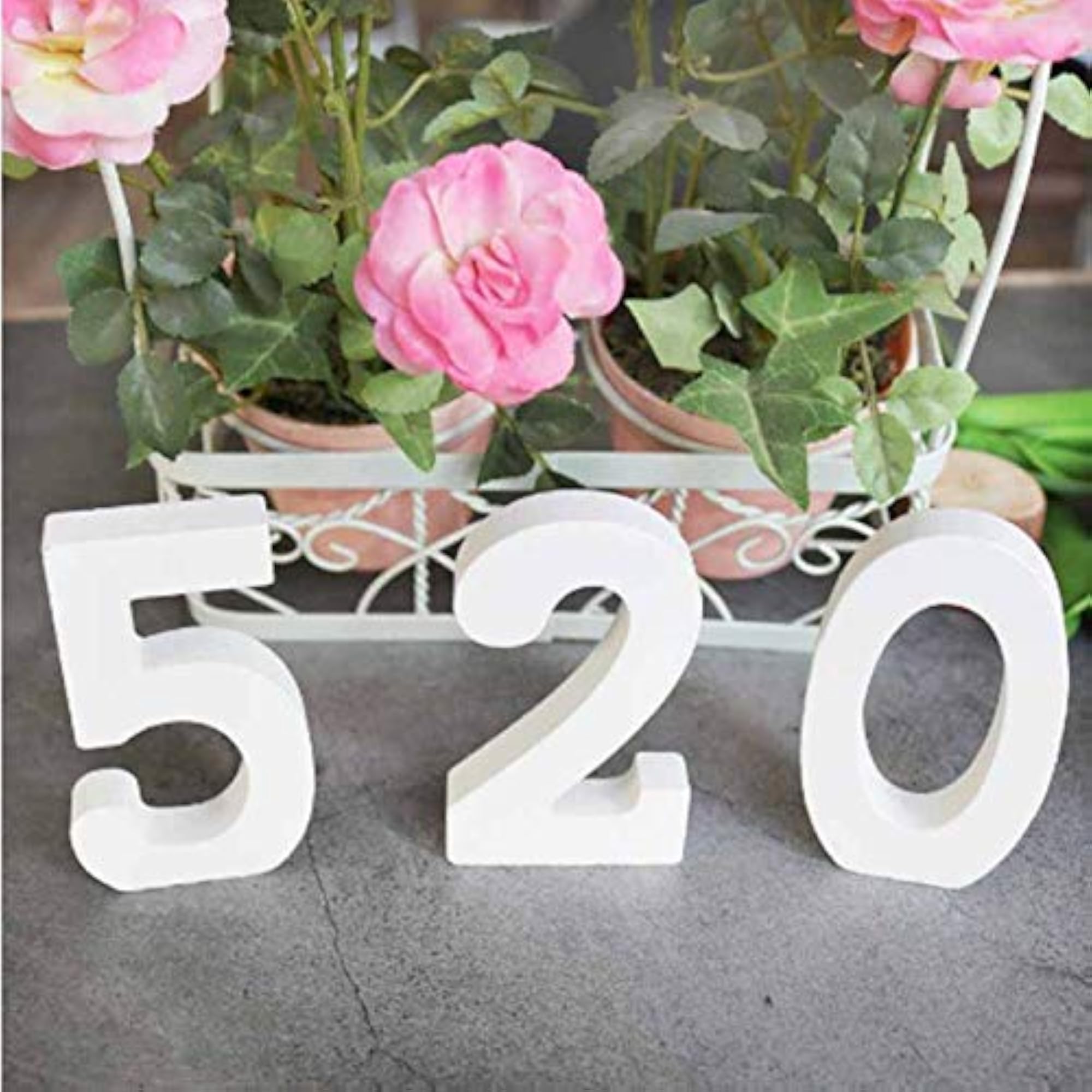 White Wooden Number 5" DIY Craft Ornament for Decor