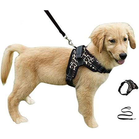 copatchy no pull reflective adjustable dog harness with handle