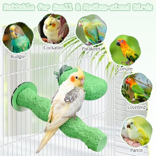 Image of PINVNBY 5 Pack Bird Perch Resin Bird Beak Grinding Stone Parrot Cage Stand Platform Foot Claws Trimmer Chew Toy Cage Accessories for Budgie Cockatiel Conure Lovebird Finch (Green)