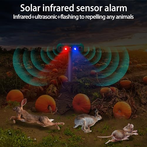 Alarme de sensor de movimento solar ao ar livre: Alarme de indução infravermelho solar ultrassônico