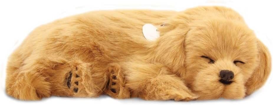 Precious Petzzz Lifelike Breathing Huggable Cute Puppy Dog Cat Birthday Gift UK by Lizzy® (Golden Retriever)