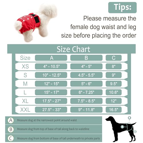 Image of Female Dog Diapers 5Pcs - Premium Reusable Diapers for Doggie in Heat - Highly Absorbent Dog Diapers Female for Pet Incontinence, Red, L