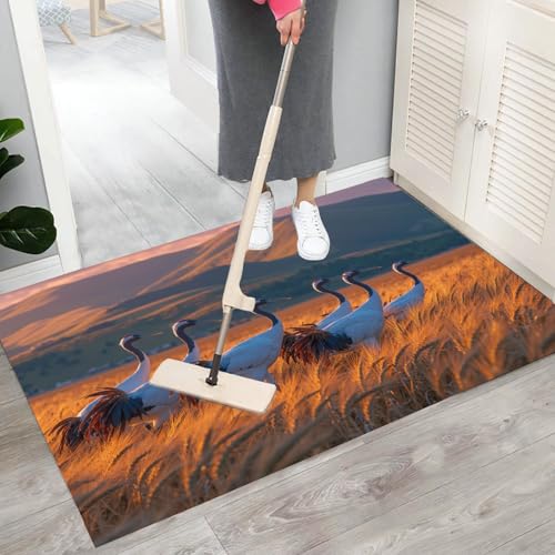 Interior tapete color naranja antideslizante para evitar resbalones 7