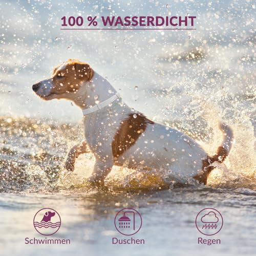 Animal Vita® Premium Zeckenhalsband für kleine Hunde - Zuverlässiger Schutz vor Zecken [wasserdicht und größenverstellbar] bis zu 8 Monate Zeckenschutz für Hunde