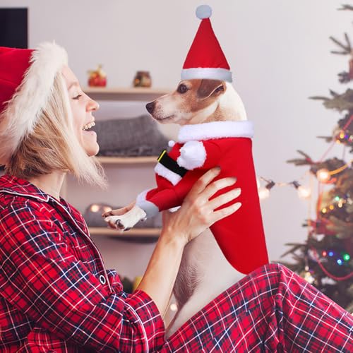 Disfraz de Santa Claus para Perro Rojo XL miniatura 6
